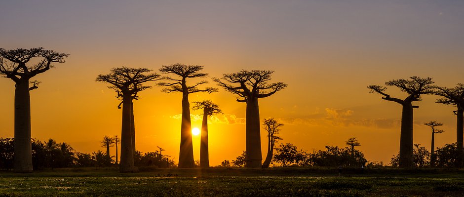 Dollarphotoclub_90801881