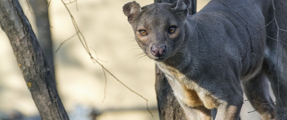 Dollarphotoclub_78152331